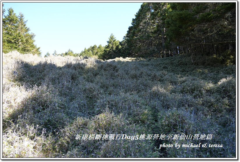 新康橫斷7天6夜挑戰行Day5(上)桃源營地至新仙山營地篇