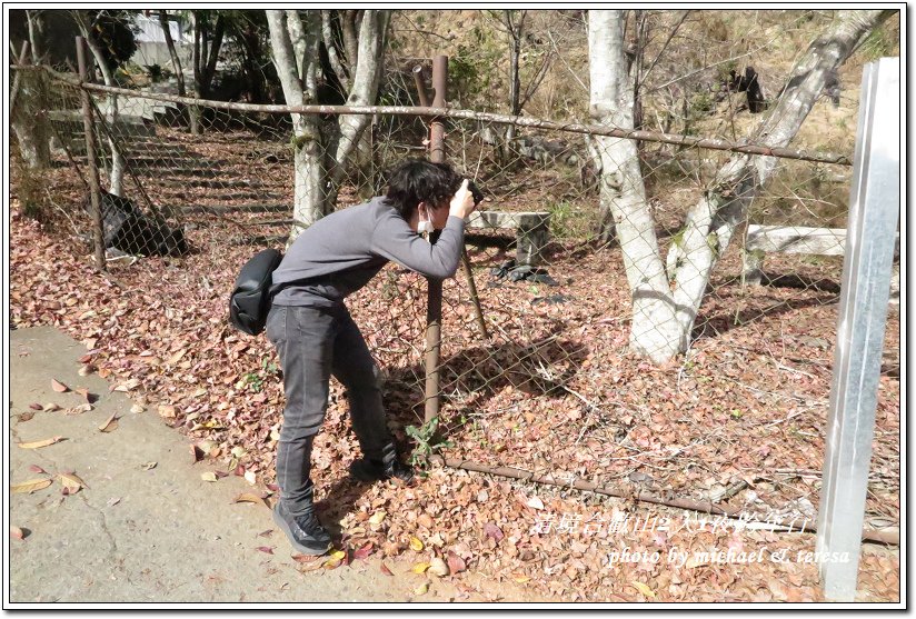 清境農場天空景觀步道合歡山松雪樓跨年行