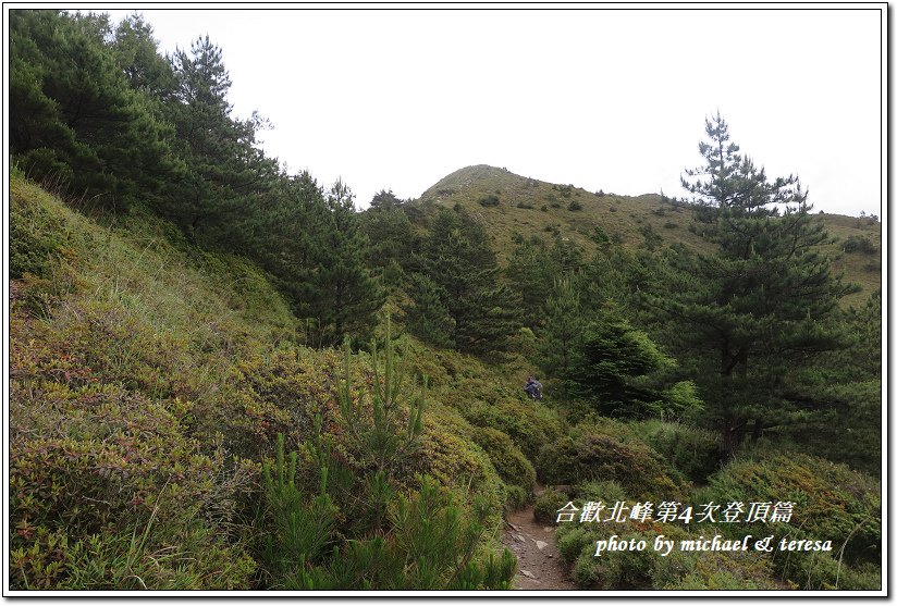 我們的第5座百岳合歡北峰第4次登頂篇