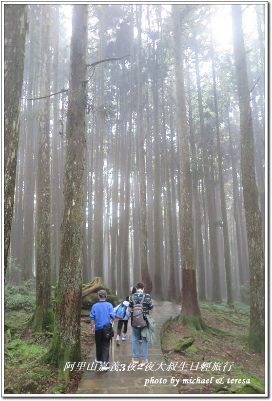 阿里山森林遊樂區、檜意森活村3天2夜慶生輕旅行