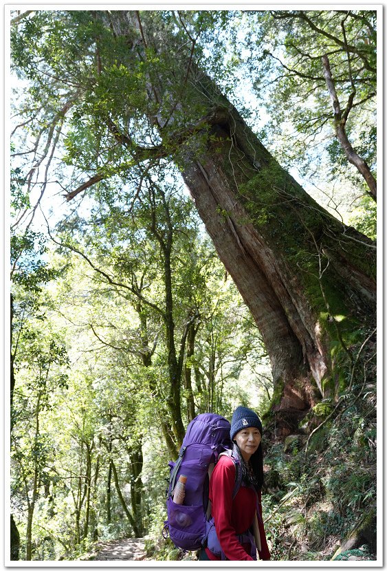 南一段8天7夜挑戰行Day1(上)進逕橋登山口至庫哈諾辛山屋