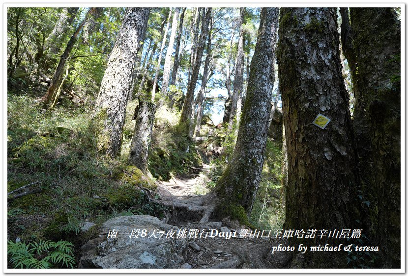 南一段8天7夜挑戰行Day1(上)進逕橋登山口至庫哈諾辛山屋