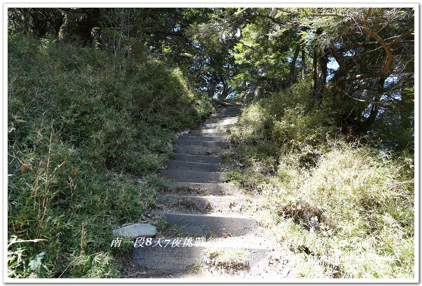 南一段8天7夜挑戰行Day1(上)進逕橋登山口至庫哈諾辛山屋