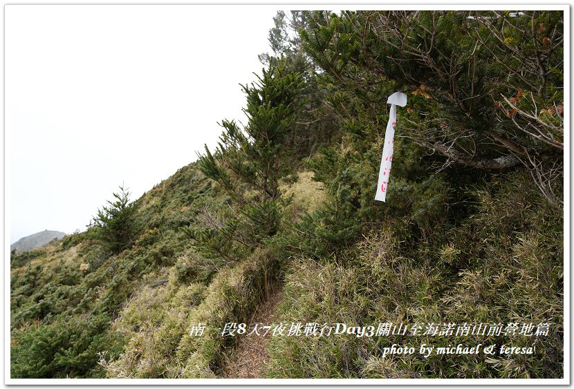 南一段8天7夜挑戰行Day3(下)關山至海諾南山前營地篇