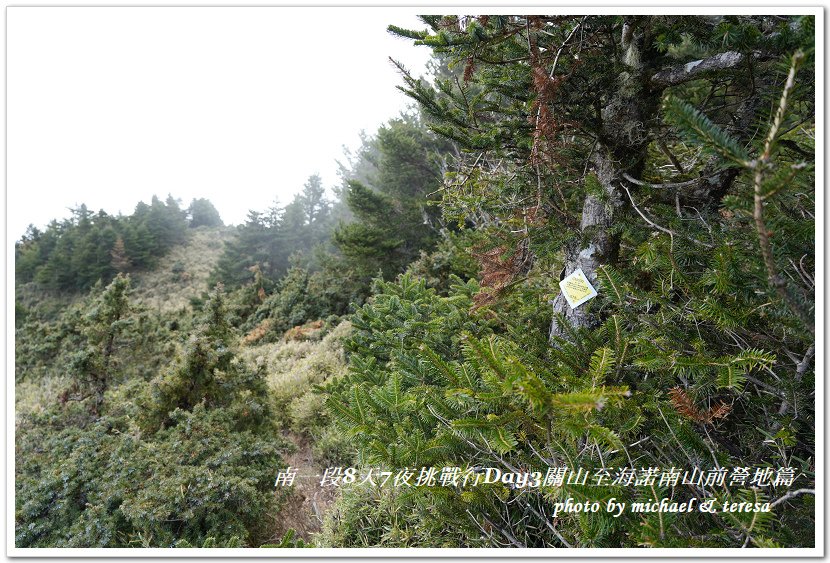 南一段8天7夜挑戰行Day3(下)關山至海諾南山前營地篇