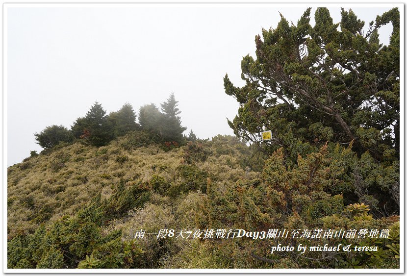 南一段8天7夜挑戰行Day3(下)關山至海諾南山前營地篇