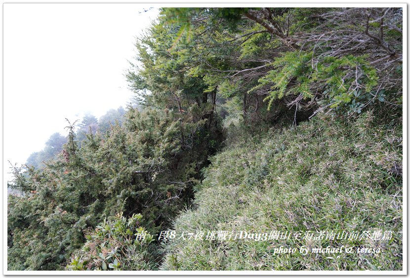 南一段8天7夜挑戰行Day3(下)關山至海諾南山前營地篇