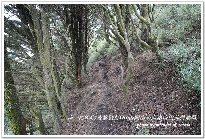 南一段8天7夜挑戰行Day3(下)關山至海諾南山前營地篇