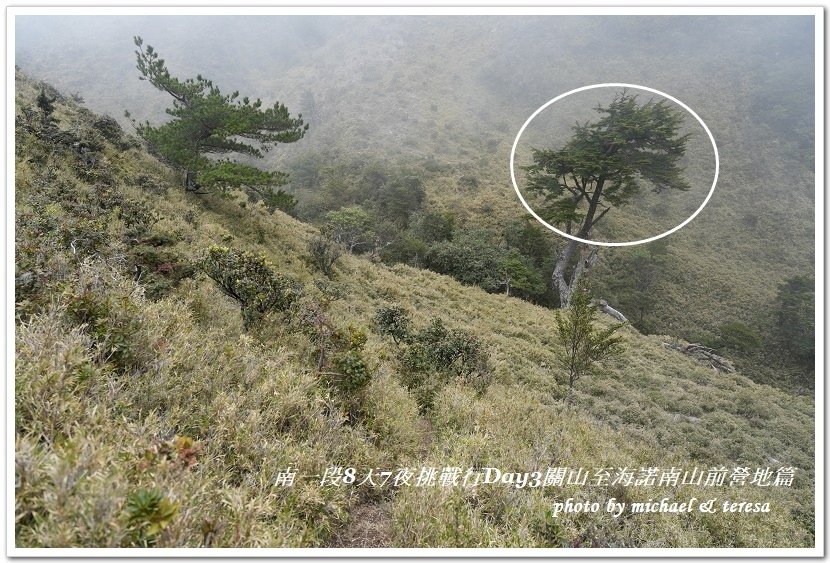 南一段8天7夜挑戰行Day3(下)關山至海諾南山前營地篇