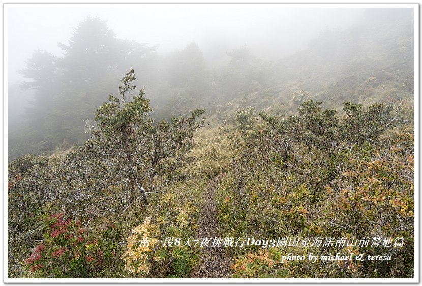 南一段8天7夜挑戰行Day3(下)關山至海諾南山前營地篇