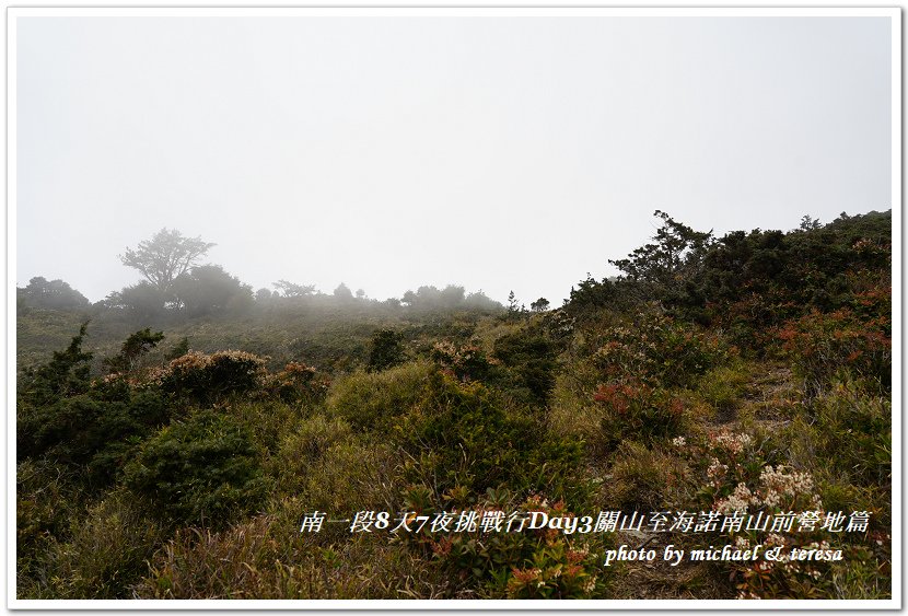 南一段8天7夜挑戰行Day3(下)關山至海諾南山前營地篇