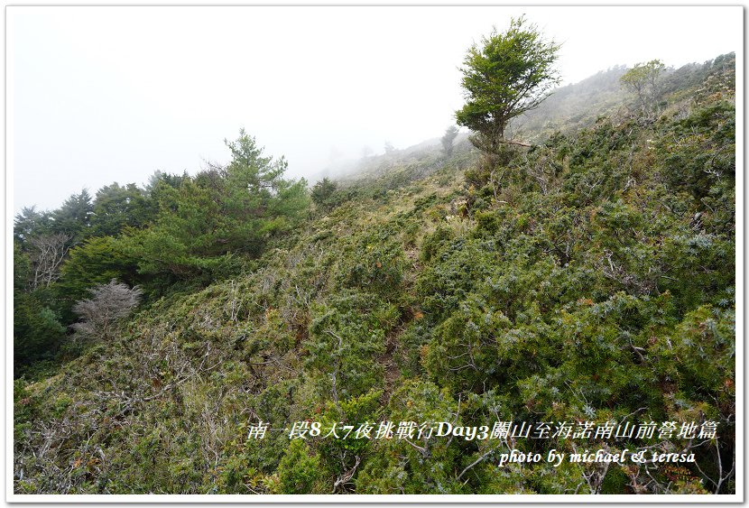 南一段8天7夜挑戰行Day3(下)關山至海諾南山前營地篇