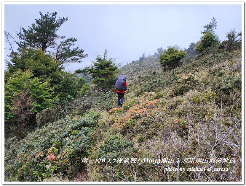 南一段8天7夜挑戰行Day3(下)關山至海諾南山前營地篇