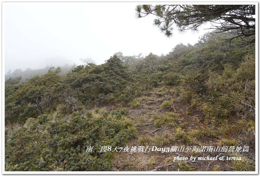 南一段8天7夜挑戰行Day3(下)關山至海諾南山前營地篇