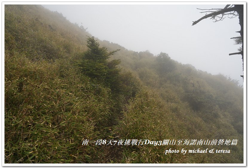 南一段8天7夜挑戰行Day3(下)關山至海諾南山前營地篇