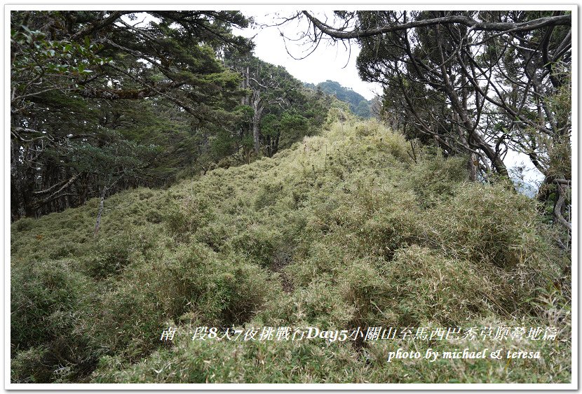 南一段8天7夜挑戰行Day5(下)小關山至馬西巴秀草原營地篇