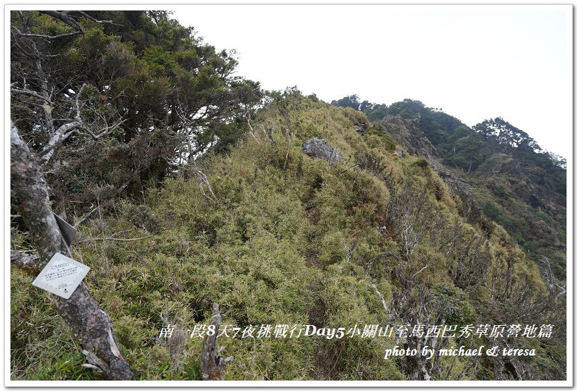 南一段8天7夜挑戰行Day5(下)小關山至馬西巴秀草原營地篇