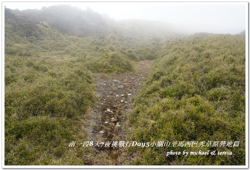 南一段8天7夜挑戰行Day5(下)小關山至馬西巴秀草原營地篇