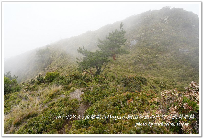 南一段8天7夜挑戰行Day5(下)小關山至馬西巴秀草原營地篇