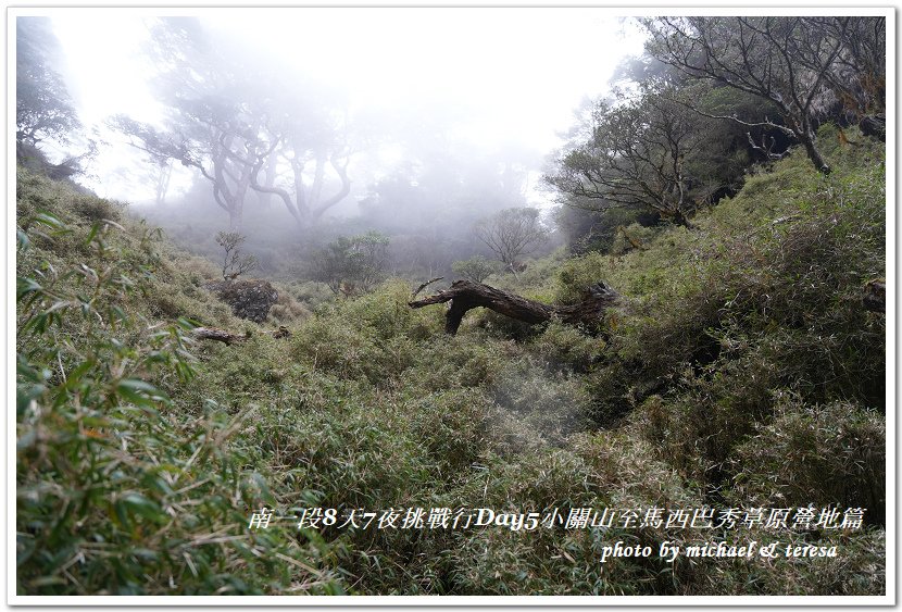 南一段8天7夜挑戰行Day5(下)小關山至馬西巴秀草原營地篇