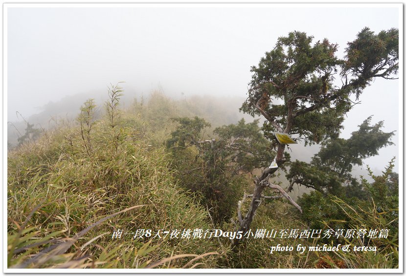 南一段8天7夜挑戰行Day5(下)小關山至馬西巴秀草原營地篇