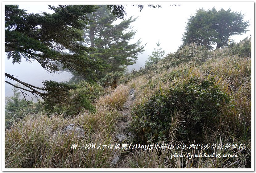 南一段8天7夜挑戰行Day5(下)小關山至馬西巴秀草原營地篇