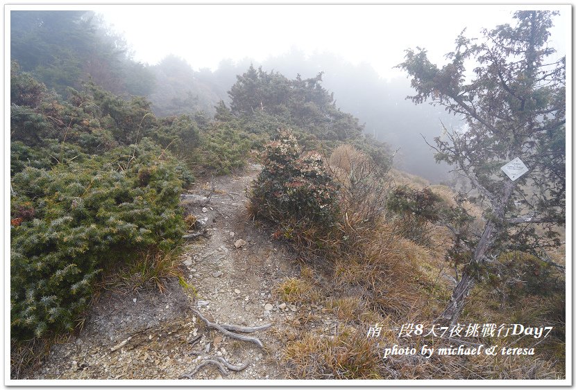 南一段8天7夜挑戰行Day7三叉營地至路牌398臨時營地篇