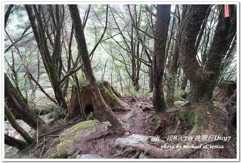 南一段8天7夜挑戰行Day7三叉營地至路牌398臨時營地篇