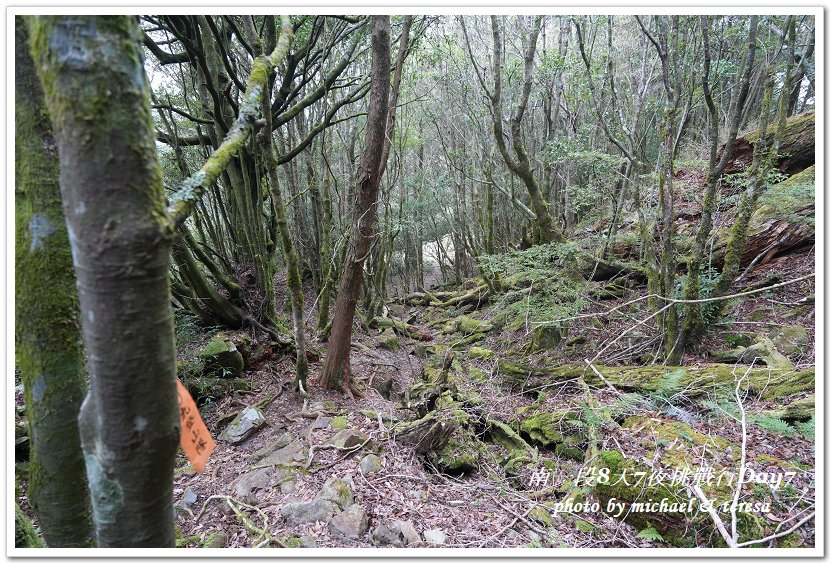 南一段8天7夜挑戰行Day7三叉營地至路牌398臨時營地篇