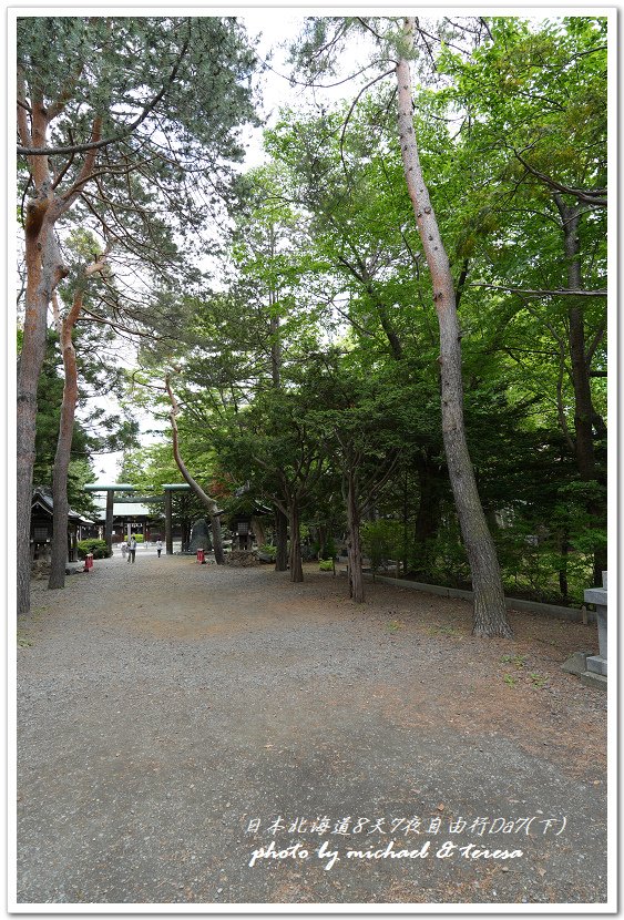 日本北海道8天7夜自由行Day7(下)琴似神社、北海道神宮、