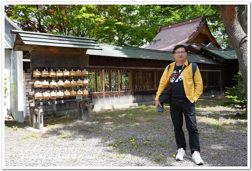 日本北海道8天7夜自由行Day7(下)琴似神社、北海道神宮、