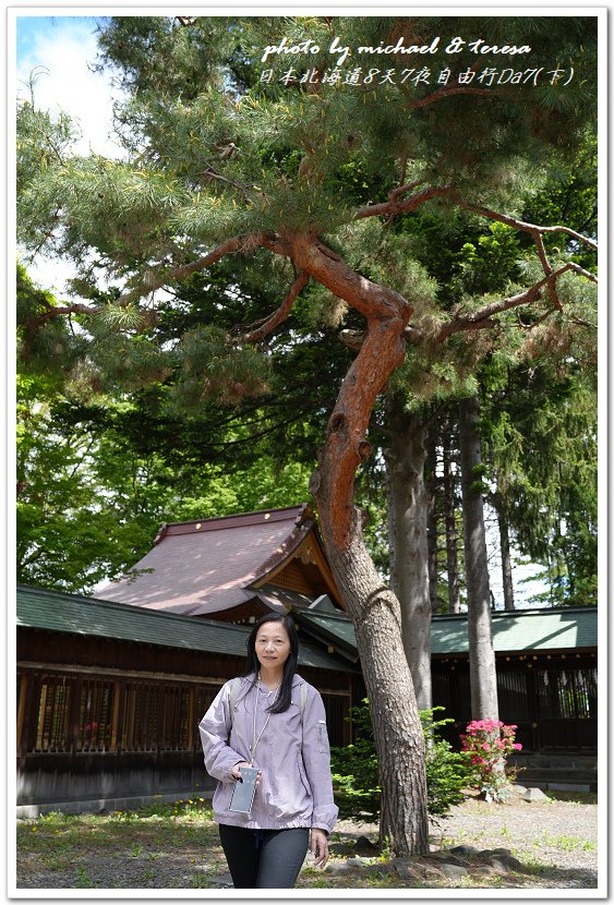 日本北海道8天7夜自由行Day7(下)琴似神社、北海道神宮、