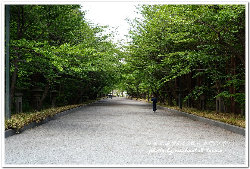 日本北海道8天7夜自由行Day7(下)琴似神社、北海道神宮、