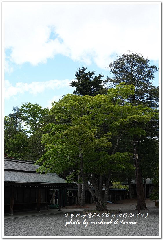 日本北海道8天7夜自由行Day7(下)琴似神社、北海道神宮、
