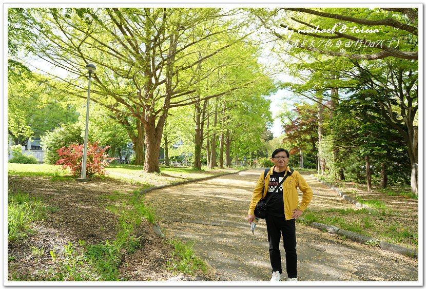 日本北海道8天7夜自由行Day7(下)琴似神社、北海道神宮、