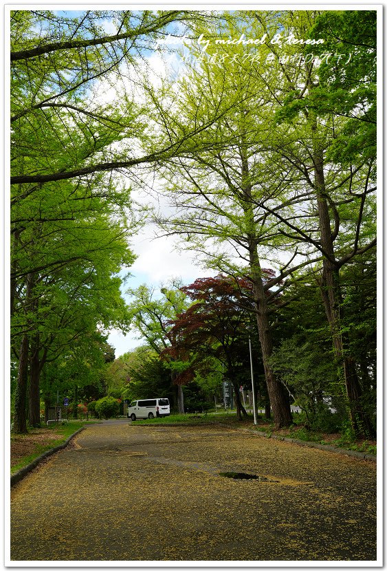 日本北海道8天7夜自由行Day7(下)琴似神社、北海道神宮、