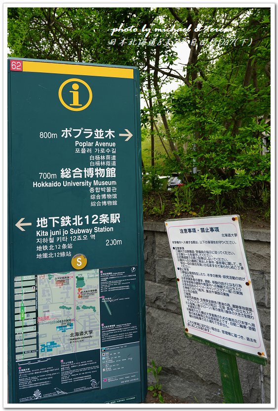 日本北海道8天7夜自由行Day7(下)琴似神社、北海道神宮、