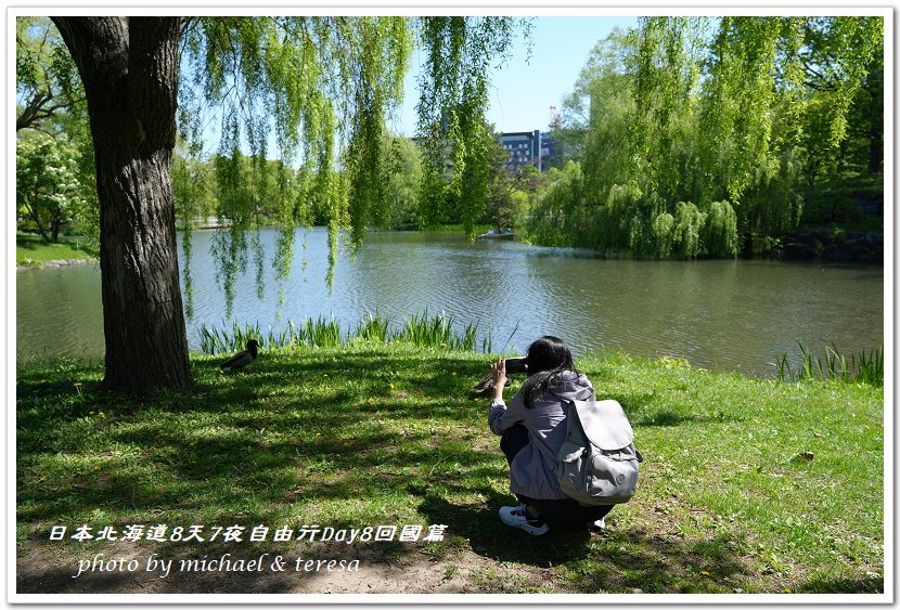 日本北海道8天7夜自由行Day8中島公園及回國篇