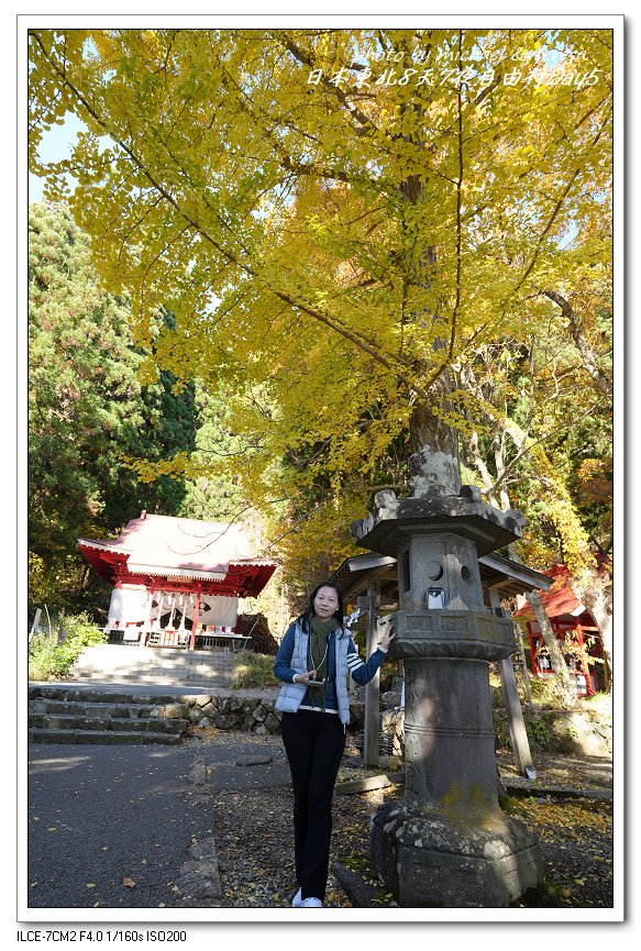 日本東北8天7夜賞楓自由行Day5田澤湖(下)御座石神社、浮