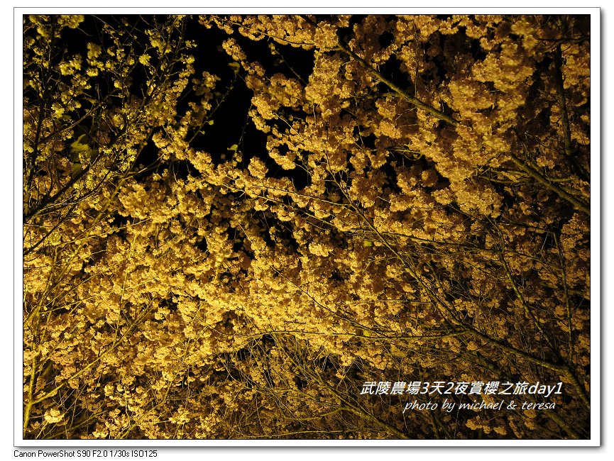 2012武陵農場3天2夜賞櫻之旅 Day1(住武陵富野)