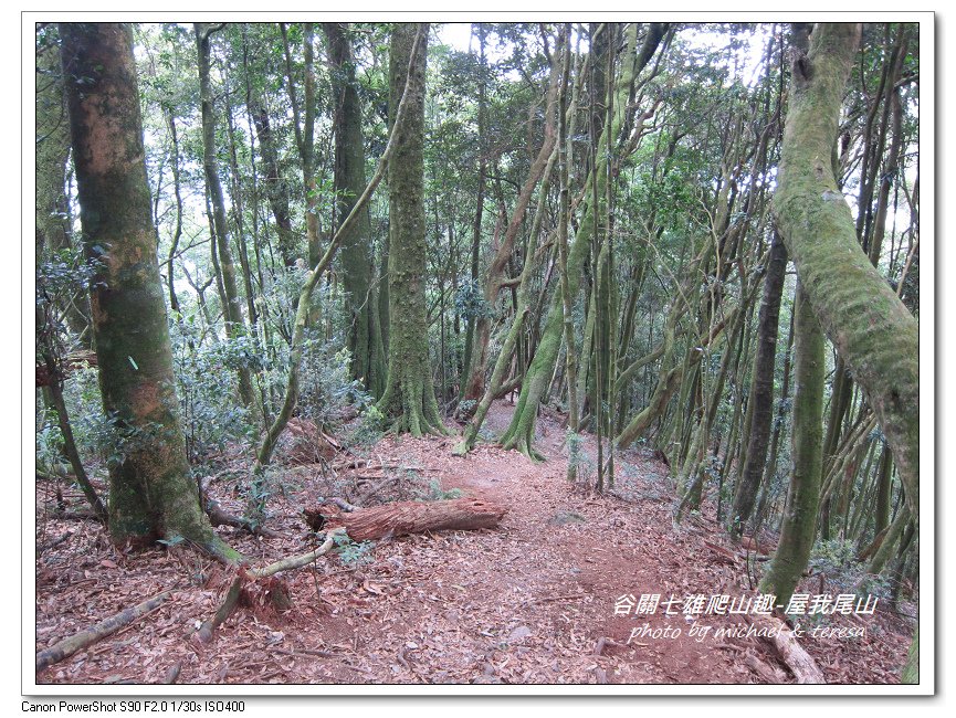 谷關七雄爬山趣 Day1老三屋我尾山
