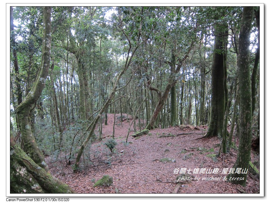 谷關七雄爬山趣 Day1老三屋我尾山