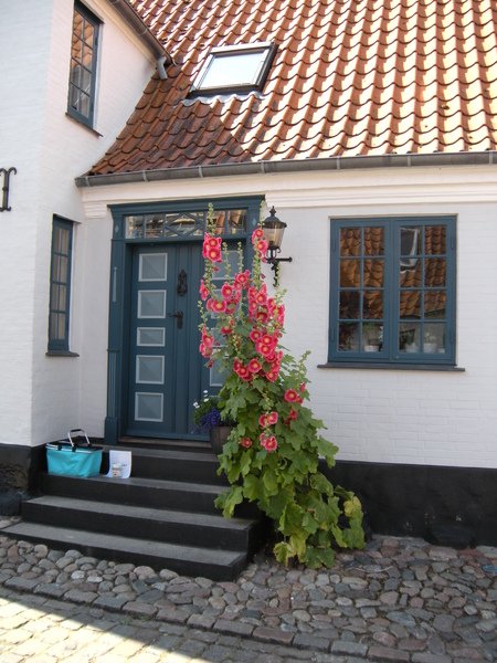 DSCN9394.JPG