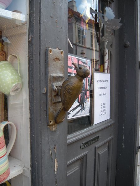 DSCN9568.JPG