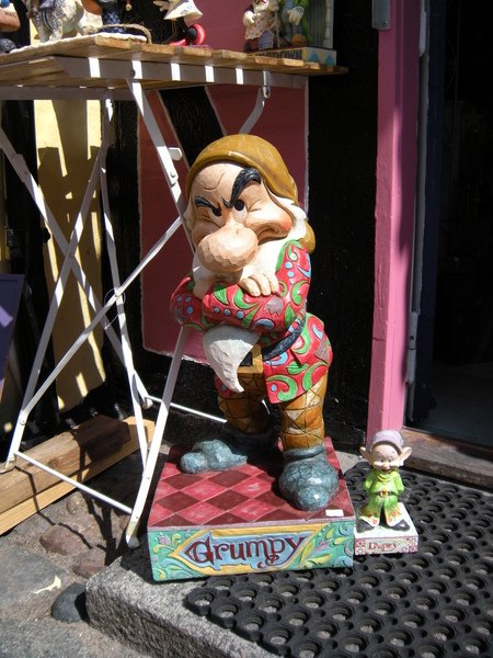 DSCN9391.JPG
