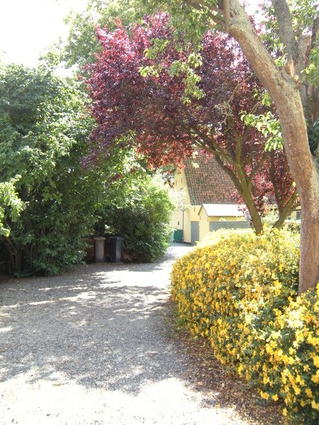 DSCN9457.JPG
