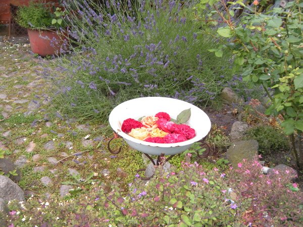 DSCN9622.JPG