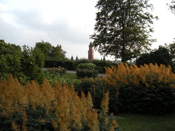 DSCN8317.JPG