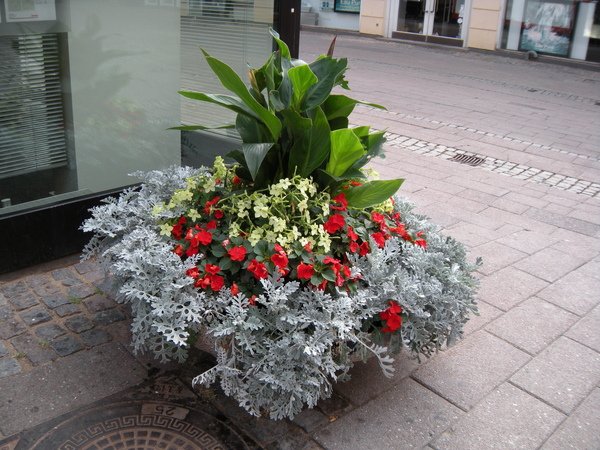 DSCN8005.JPG