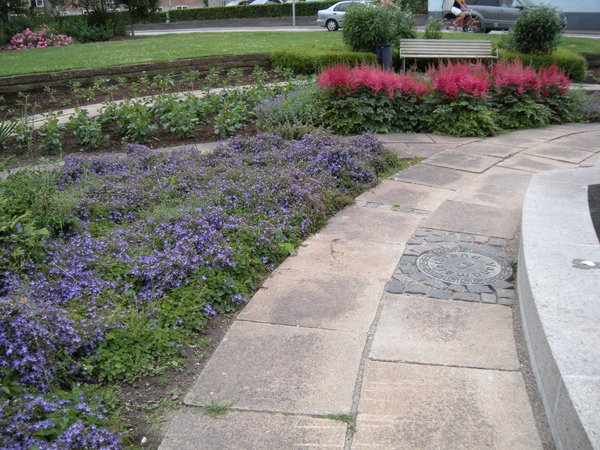 DSCN8092.JPG